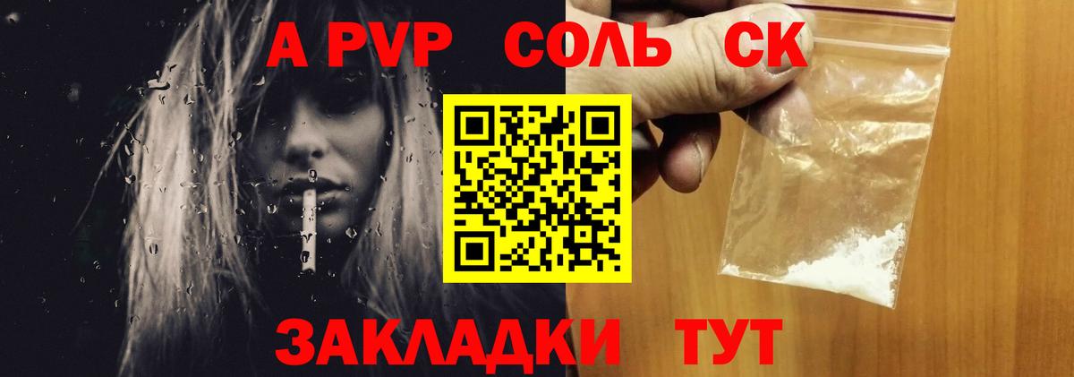 A PVP СК Фрязино
