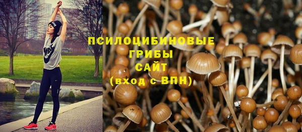 винт Медвежьегорск