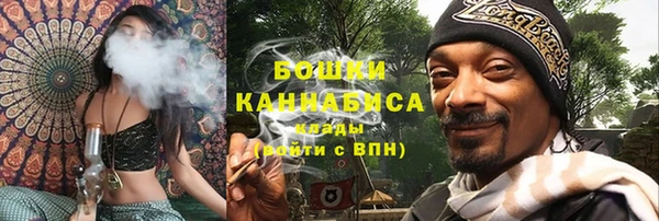 Альфа ПВП Мегион