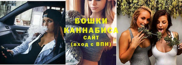 Альфа ПВП Мегион