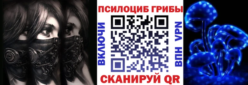 мега онион  Фрязино  Галлюциногенные грибы ЛСД  где купить наркотик 