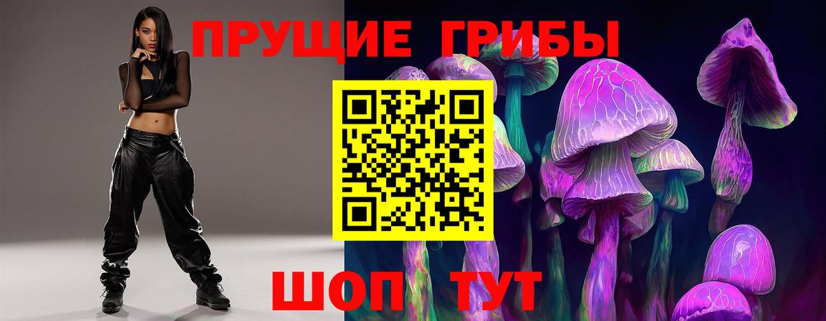 где купить   Вход с VPN  Фрязино  Псилоцибиновые грибы мицелий 